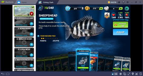 fishing clash game|Fishing Clash Guide: Tips, Tricks & Strategies to .